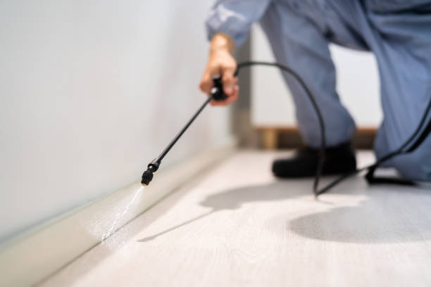 Licensed Pest Control service in Seville, OH - Show Me Pest Control