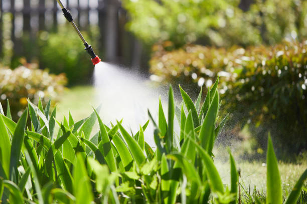 24/7 Emergency Mosquito Control experts in Seville, OH