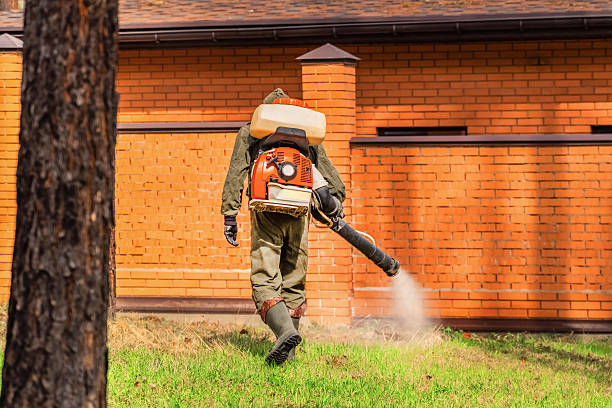 Top rated local Mosquito Control specialists in Seville, OH